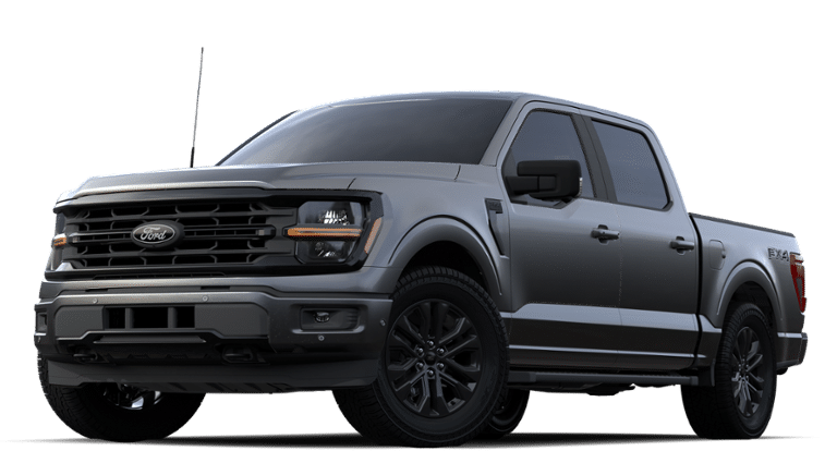 2024 Ford F-150 Vehicle Photo in Weatherford, TX 76087-8771